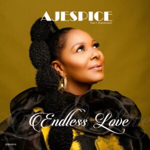 Ajespice Endless Love Mp3 Download