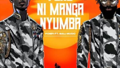 Pene Ni Nanga Nyumba by Pompi ft Mali Music