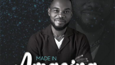 Made in Amazing by Timothy Bassey