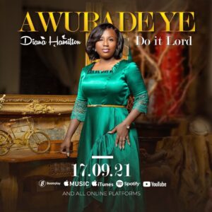 Awuradeye by Diana Hamilton Mp3 Download