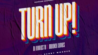 Turn Up by DJ Ernesty & Meeky James