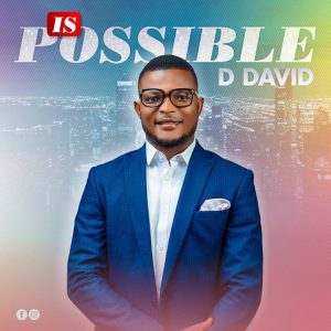 DDavid Is Possible Album