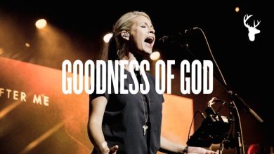 I Have Seen The Lord Goodness Mp3 Download