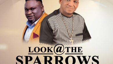 Look At The Sparrows by Apostle Godshield Orokpo Mp3 Download