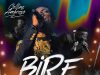 Collins Ambrose Bire Mp3 Download