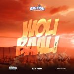 DJ Fish Woli Baali Afro Mara Mp3 Download