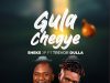 Gula Chegye by Sheks Musa Jp & Trevor Dulla
