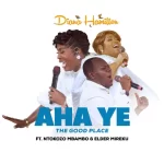 The Art Cover of Diana Hamilton – Aha Ye (The Good Place) ft. Ntokozo Mbambo & Elder Mireku