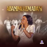 The Artcover of Elizavocat – Abanimulemadani