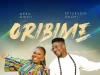 artwork Mera Owili Oribime