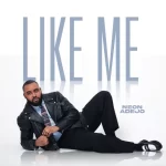 Neon Adejo Like Me artwork