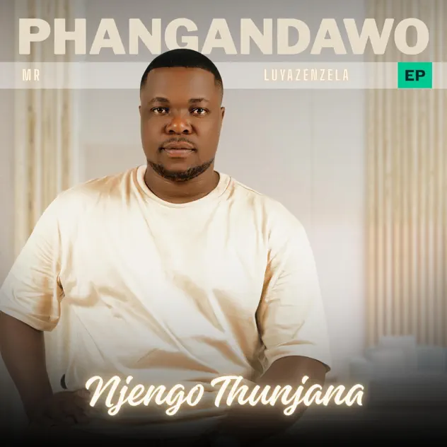 Phangandawo Njengothunjana artwork