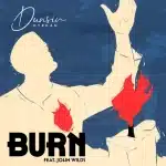 Dunsin Oyekan Burn cover art