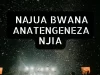 Sounds of Afrika Music profile