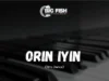 DJ Fish Orin Iyin (Afro Dance)