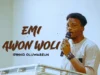 Ipinko Oluwaseun Emi Awon Woli (Cover)