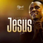 I Live For Jesus