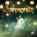 Sunmisola Agbebi Oranmonise