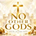 Sheena Taylor No Other Gods