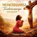 Taanashe Washe Munoshamisa / Taidziwanepi Nyasha