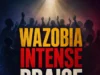 Afroharmonica Wazobia Intense Praise