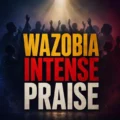 Afroharmonica Wazobia Intense Praise