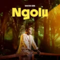 David Ize Ngolu