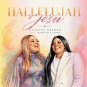 Hallelujah Jesu