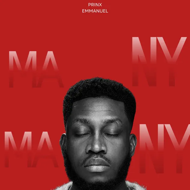 Prinx Emmanuel Many