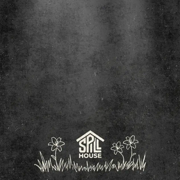 Spillhouse Lilies (Matt 6:28)