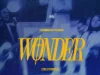 Sunmisola Agbebi Wonder